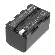 CS-FS21