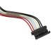 Lenovo ThinkPad X1 Fold Gen 1-20RL001TAU