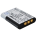 Camera Battery Sony HDR-AS100V