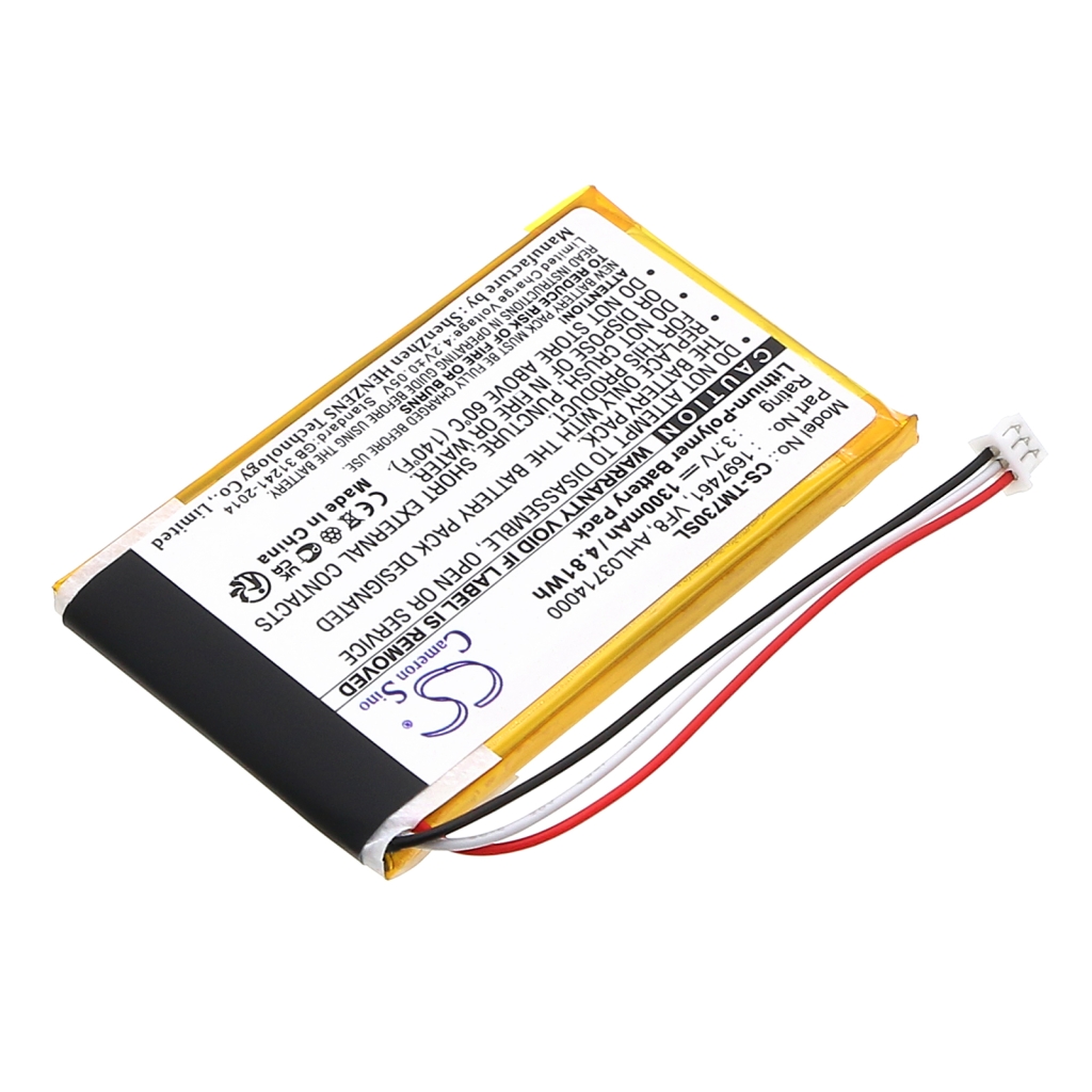 TomTom Go 720